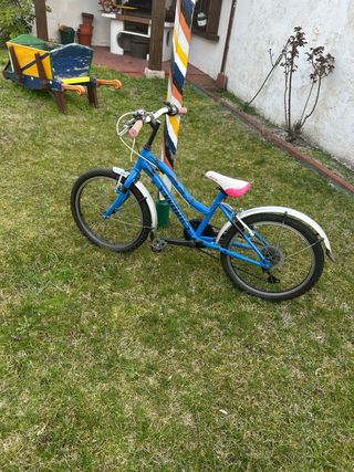 Bicicleta Infantil Specialized S-Works Blu