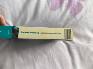 Los ladrones del Cielo