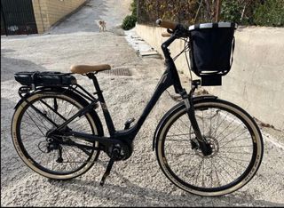 Bicicleta eléctrica Bosh Active Line