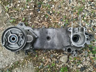 Carter Minarelli 4SB