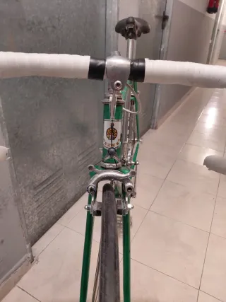 Bicicleta clásica Razesa verde