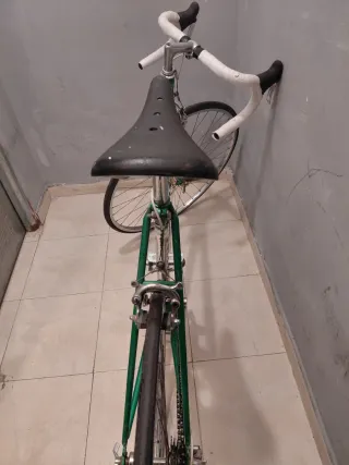 Bicicleta clásica Razesa verde