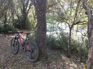 MTB KTM MYROON MASTER