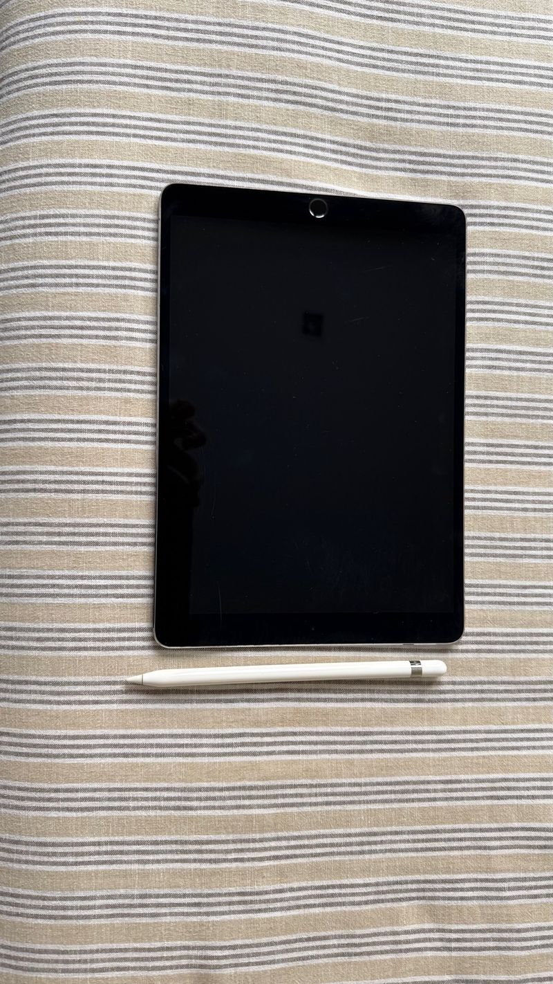 iPad Pro 10.5 2017 Plata