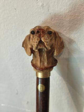 Bastón busto perro Finna (Girona). Modelo Braco.