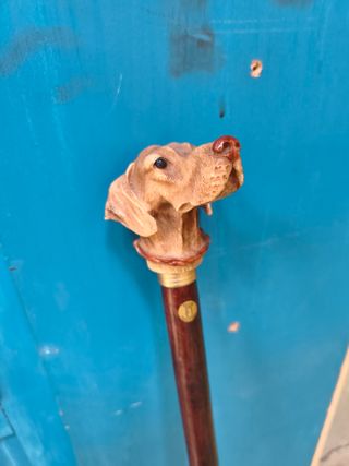 Bastón busto perro Finna (Girona). Modelo Braco.