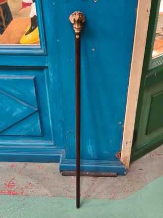 Bastón busto perro Finna (Girona). Modelo Braco.