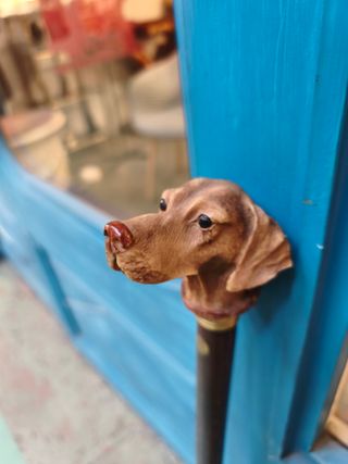 Bastón busto perro Finna (Girona). Modelo Braco.