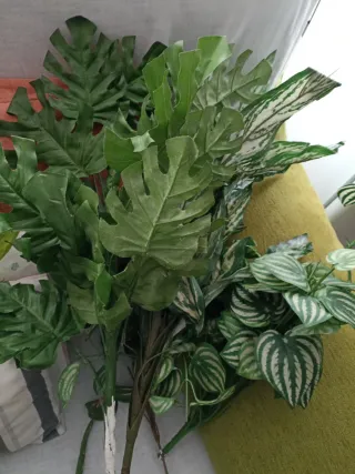 Plantas artificiales decorativas