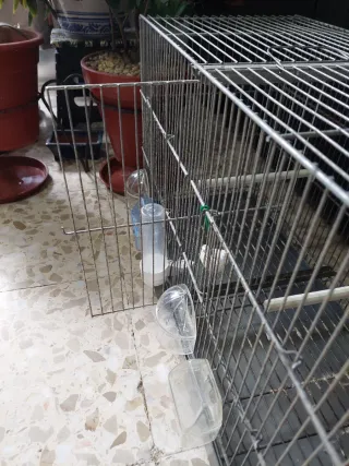 Jaula doble para canarios