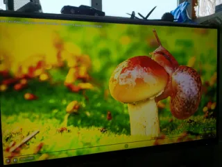 Monitor Gaming AOC Q27G4XD QHD 27 pulgadas fast ip