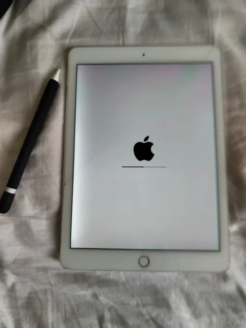 iPad Air 2 Plata + boli genérico + funda