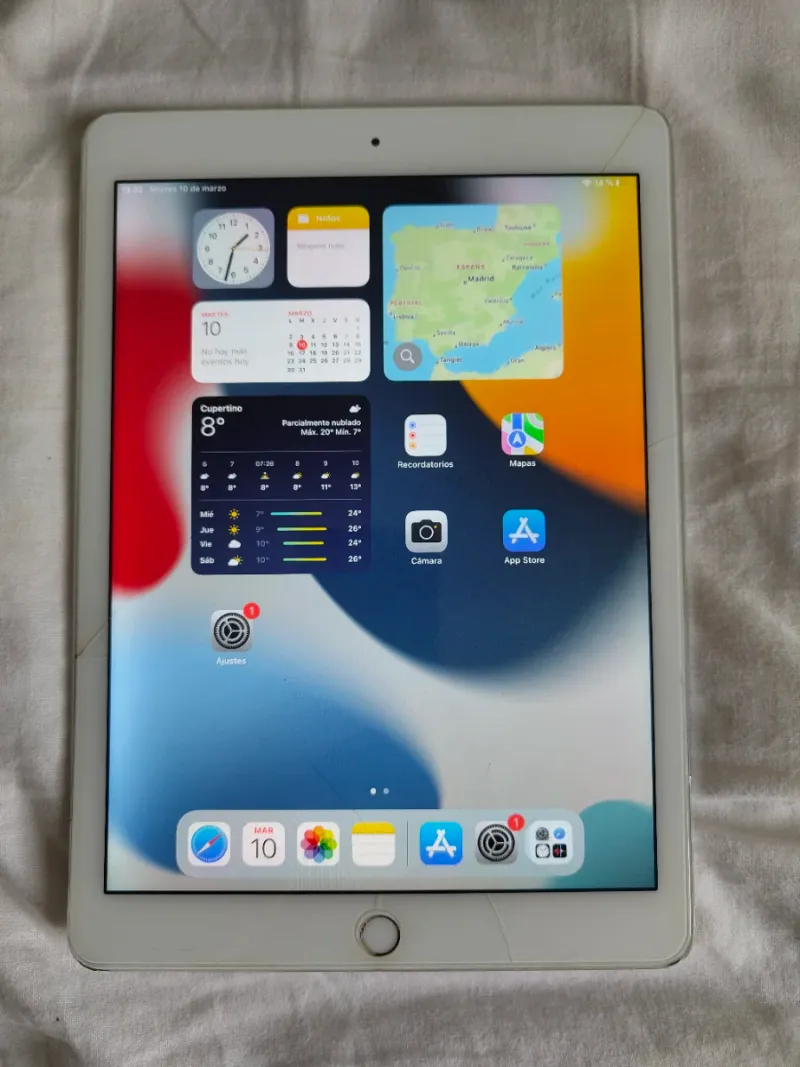 iPad Air 2 Plata + boli genérico + funda afbeelding 3