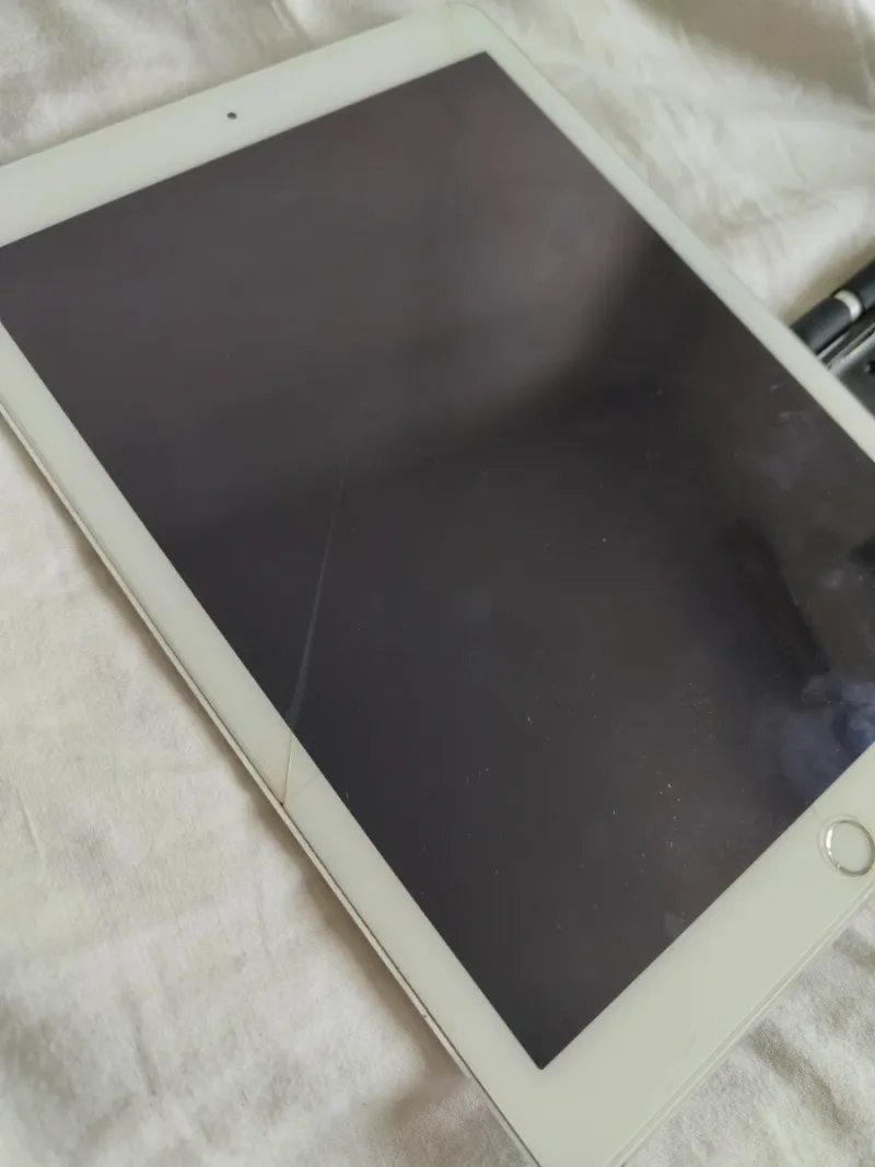 iPad Air 2 Plata + boli genérico + funda afbeelding 5