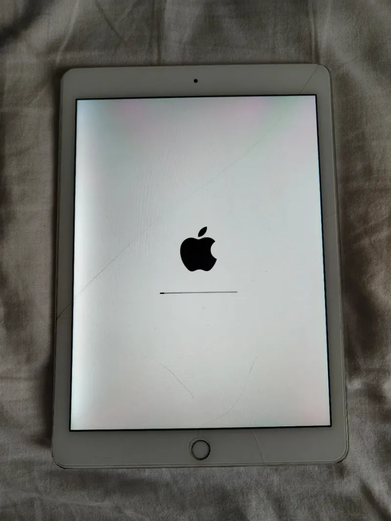 iPad Air 2 Plata + boli genérico + funda afbeelding 6