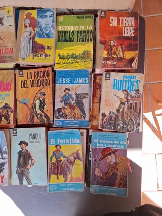 Lote novelas oeste