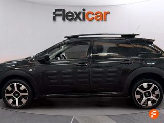 Citroën C4 Cactus BlueHDi 100 Aordream Business