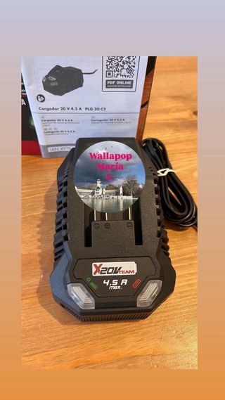 2 Cargadores de bateria 20v