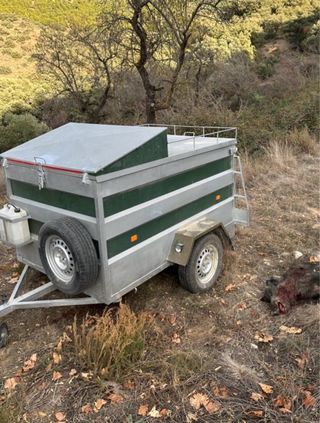 Remolque para perros