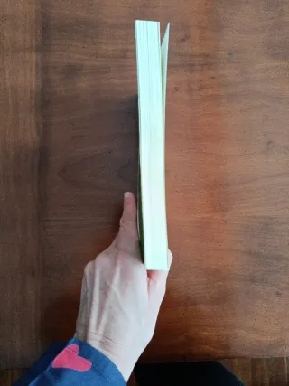 Hauxe besterik ez nuen behar!: Gizajo baten egu...