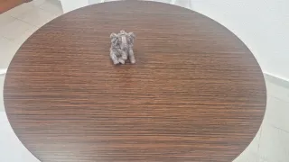 Mesa redonda 120 cm (comedor/despacho)