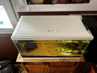 Acuario 60L con filtro Aqua Clear