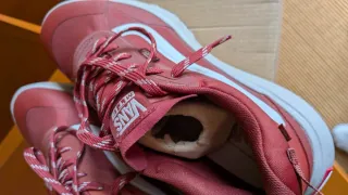 Zapatillas Vans MTE Crosspath Talla 42