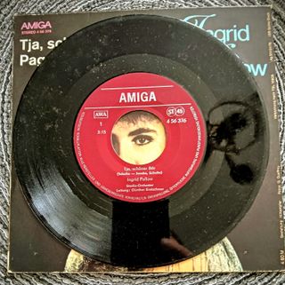 Vinile Ingrid Pollow Tja, schöner Bär