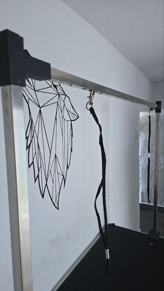 Lote mesa y silla peluquería canina