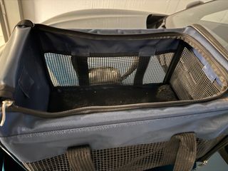 Trasportino per cani con tracolla