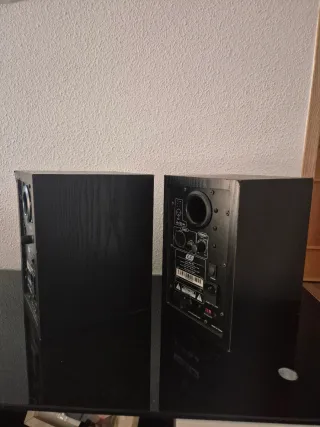 Altavoces de estudio ESI NEAR 05