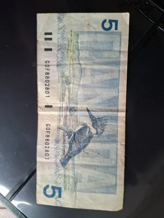 Banconota Canada 5 Dollari 1986