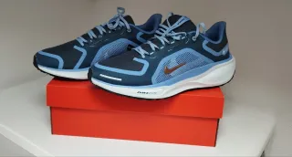 Zapatillas Nike Pegasus 41 Gore-Tex Talla 43