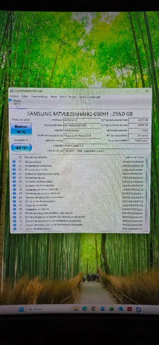 Dell Vostro 3681 SFF - 12GB RAM - 256GB NVMe