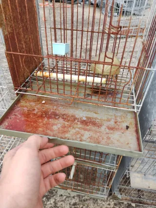 Jaulas para pájaros (2 unidades)