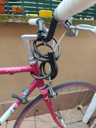 Bicicleta Giant Vintage