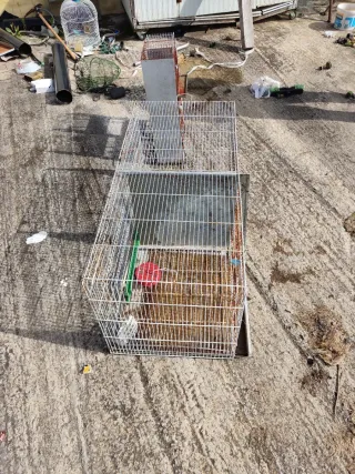 Jaula grande para pájaros plateada