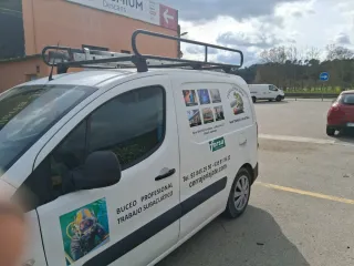 Citroen Berlingo 2017