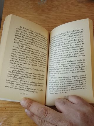 Libro Angelo de Luchino Visconti