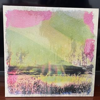 Vinilo LP Rufus T. Firefly - Todas las cosas buena