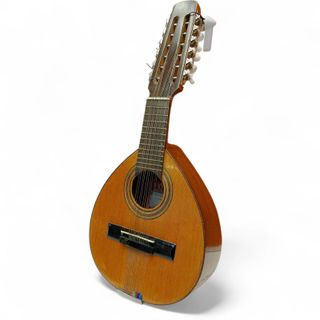 BANDURRIA CLASICA CASA SAN JOSE LEON