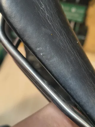 Sillín Selle Italia Flite Titanio