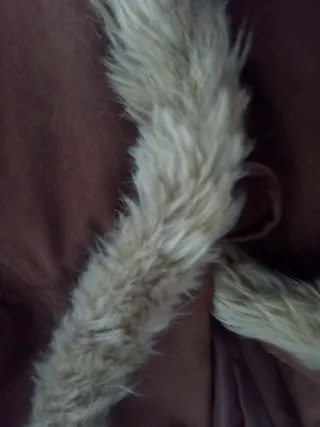 Abrigo marrón con pelo