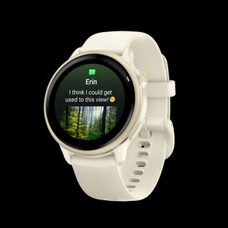 Reloj GPS GARMIN VIVOACTIVE 6 - Oro