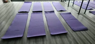 Esterillas de Yoga Moradas (Usadas)