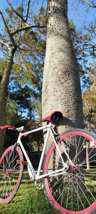 Bicicleta estilo Fixie blanca con ruedas rojas