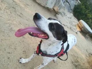 Cuidados a domicilio por mi zona.