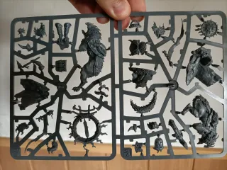 Droggz Sunchompa Matriz Warhammer