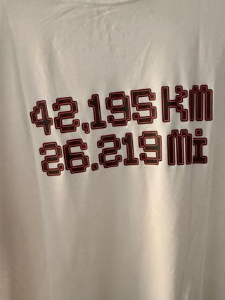 Camiseta Nike Berlin Run