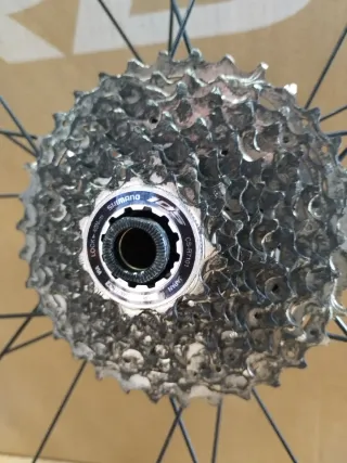 Rueda trasera Prototipe carbono disco 38